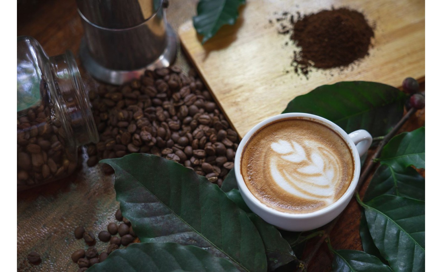 Kawa organiczna – czym kawa bio różni się od klasycznej?