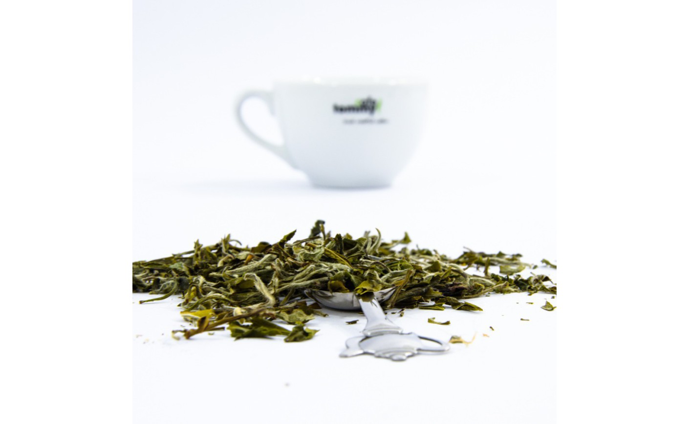 Biała herbata – właściwości i parzenie