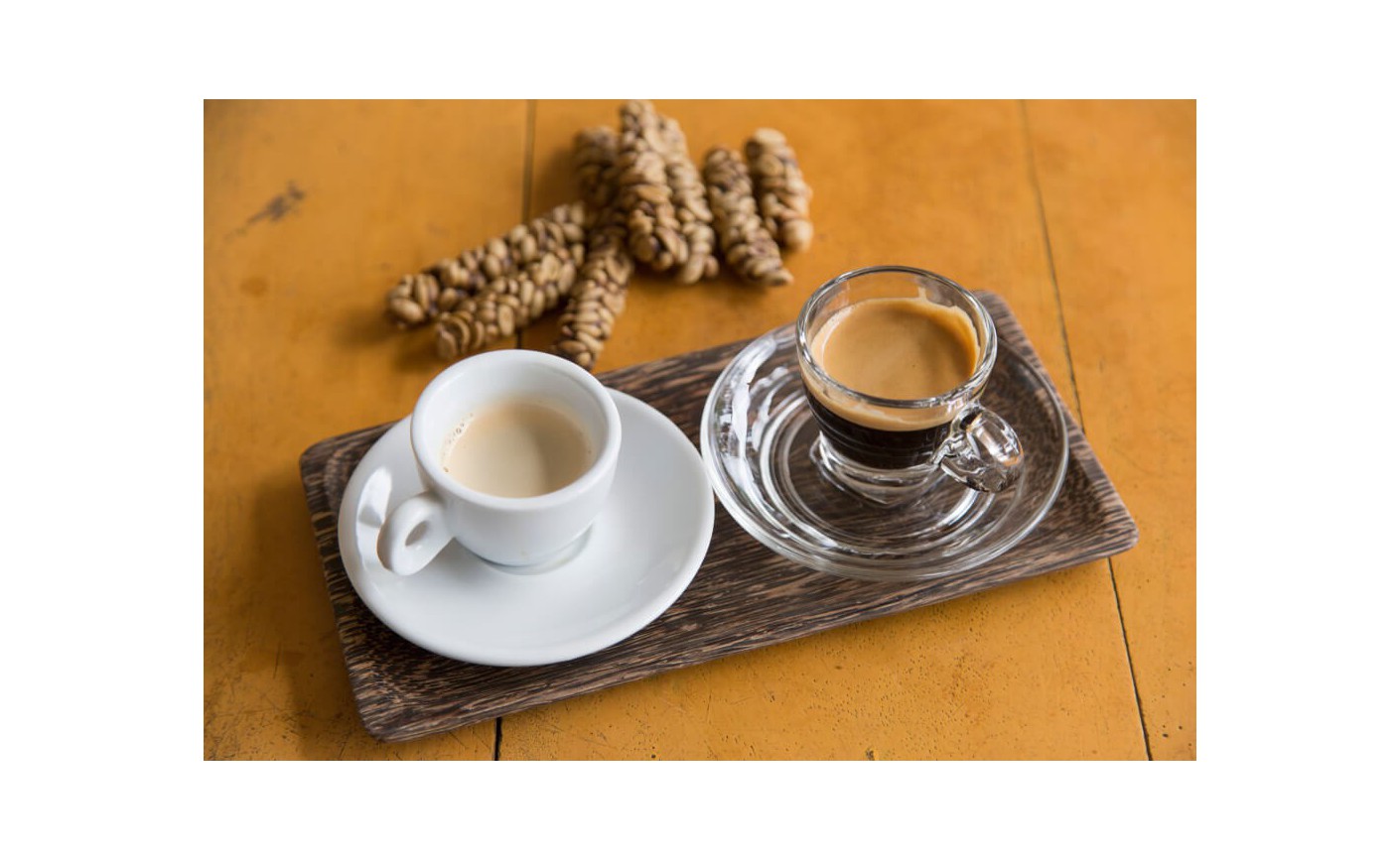 Kopi Luwak, czyli kawa z odchodów. Czy warto jej spróbować?